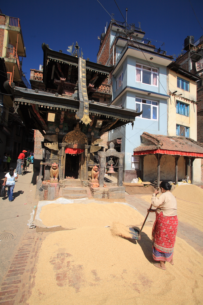 Drying grain in Patan
