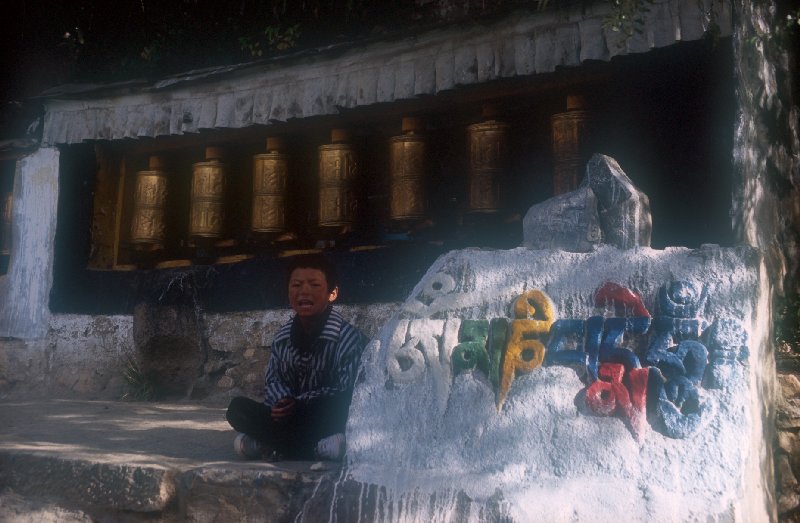 Drepung Monastery