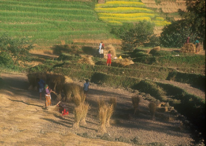 Nepal