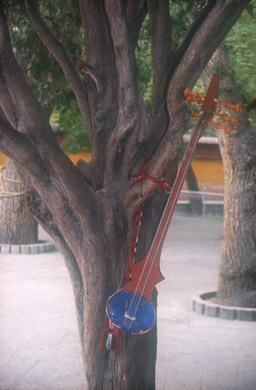 Norba Linka
