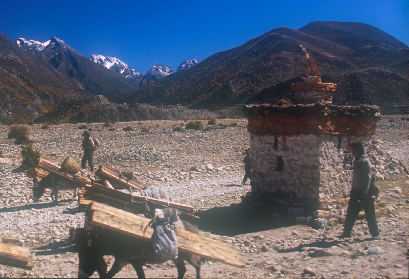Villagers and donkeys