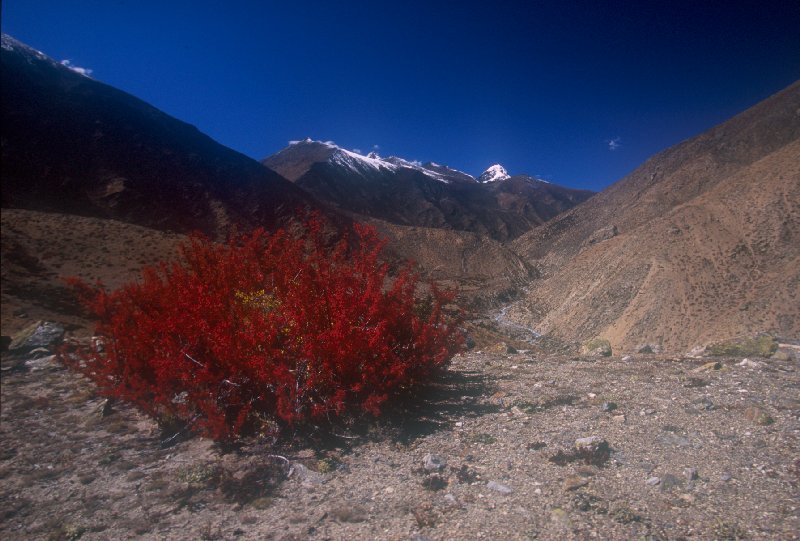 River near Yulok