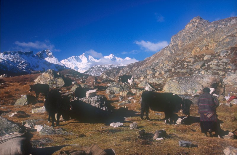 Camp near Tsho Sha-u