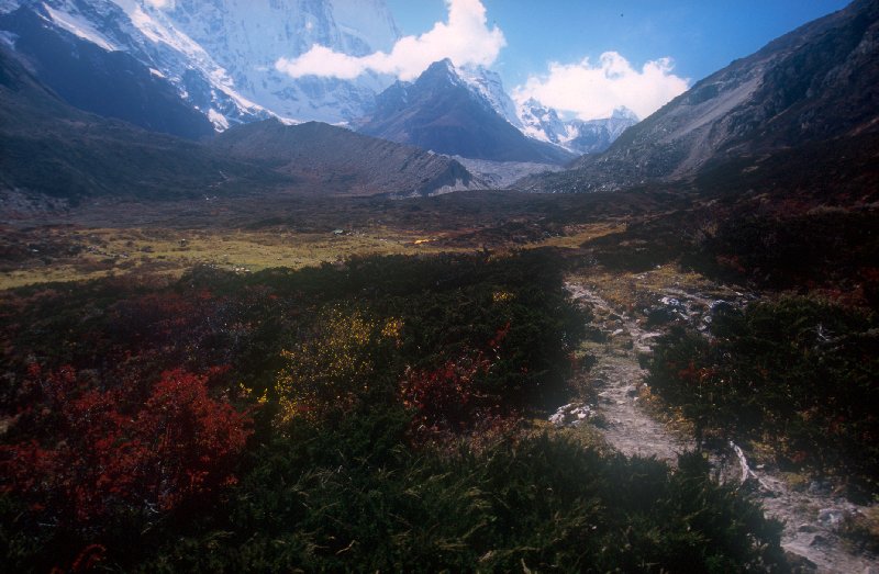 Alpine Meadow to Bathang