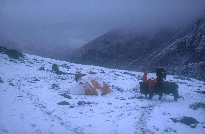 Lhatse Camp