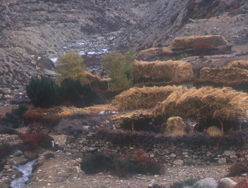 Lhatse Camp to Yuba